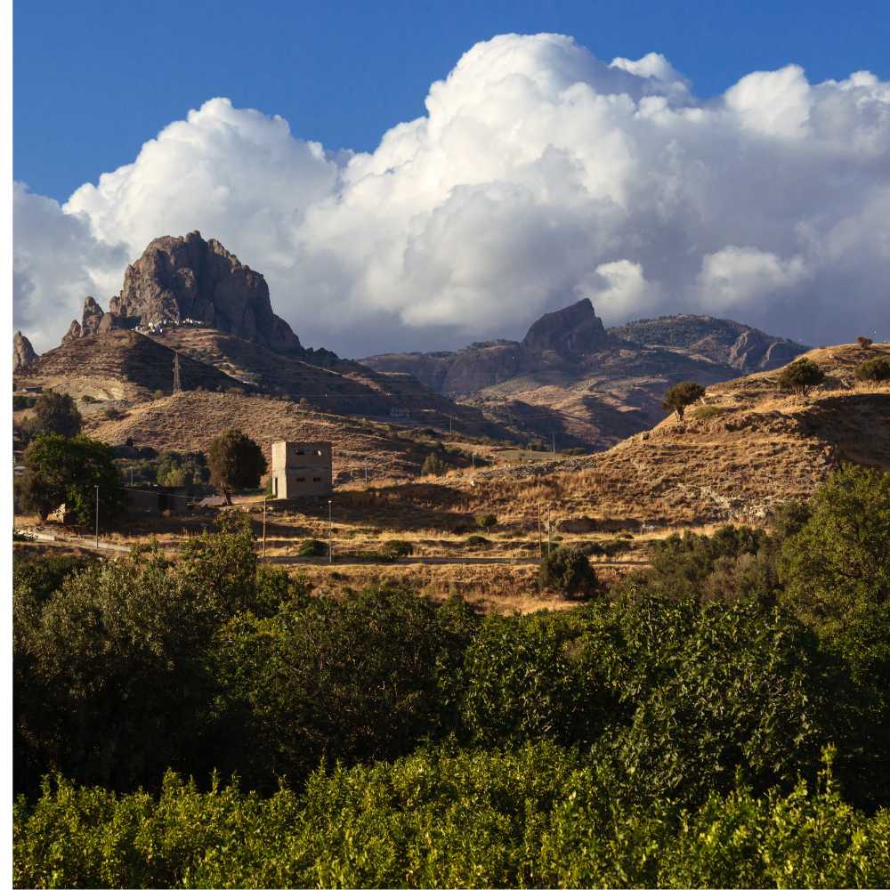 Bergamotto di Calabria